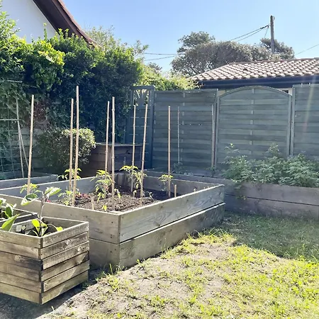 Maison Au Centre - 8 Pers - Wifi, Terrasses, Proche Commerces - Fr-1-521-232 Дом отдыха Бискаррос